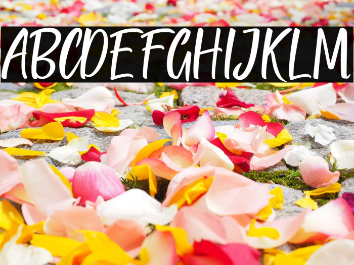 QUICK BRIDGE Example 2