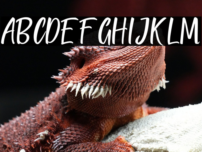 QUICK BRIDGE Example 3