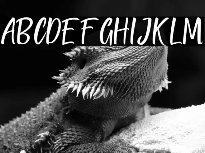 QUICK BRIDGE Font examples