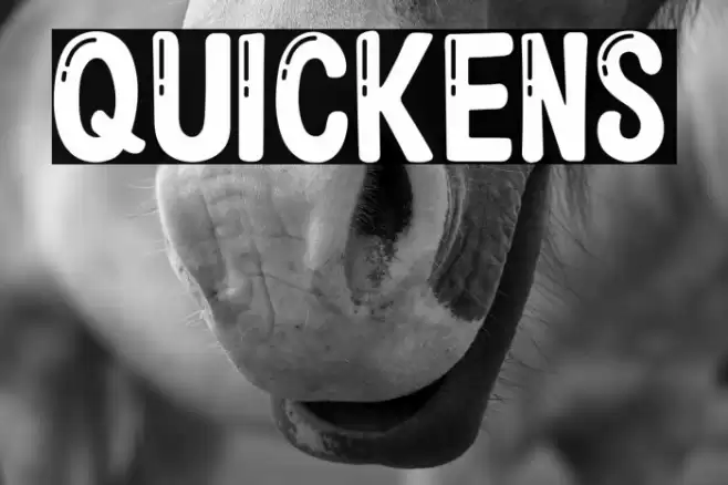 QUICKENS Font examples