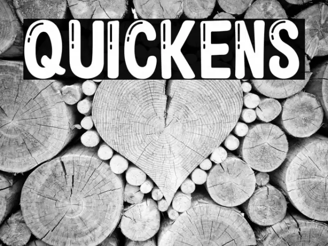 QUICKENS Font examples