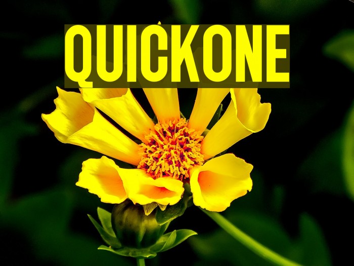 QUICKONE Font examples