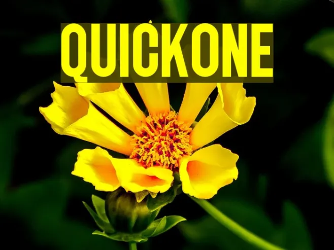 QUICKONE Example 3
