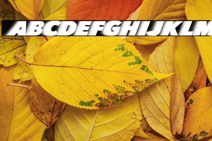 QUICKSILVER CLEAN FAST Example 1