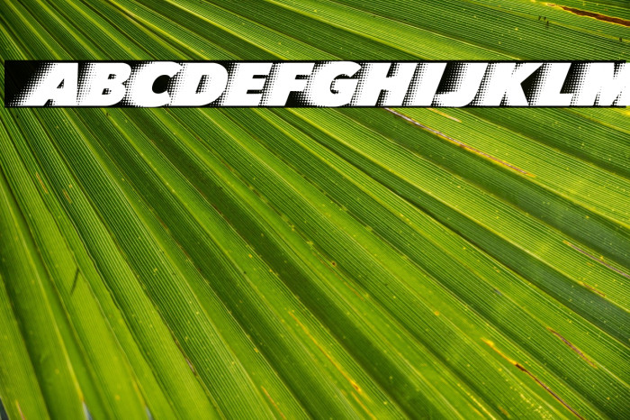 QUICKSILVER CLEAN FAST Example 2