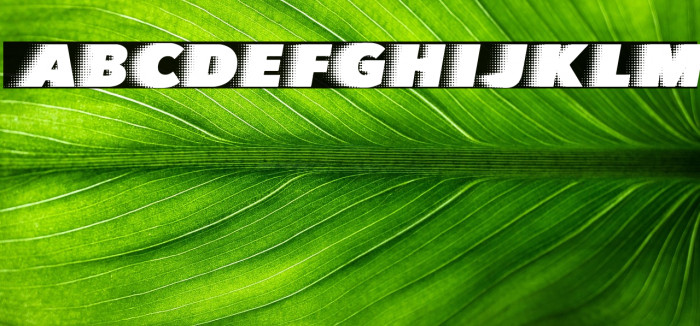 QUICKSILVER CLEAN SPACED Example 1