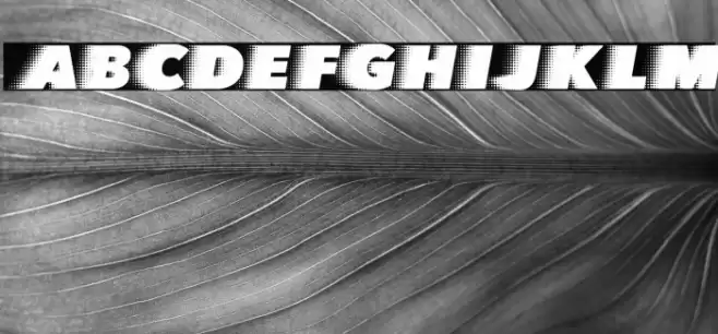 QUICKSILVER CLEAN SPACED Font examples