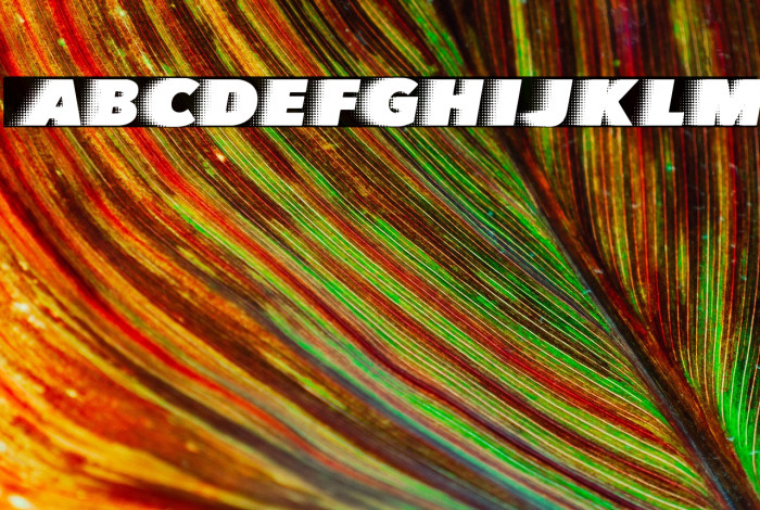 QUICKSILVER CLEAN SPACED Example 2