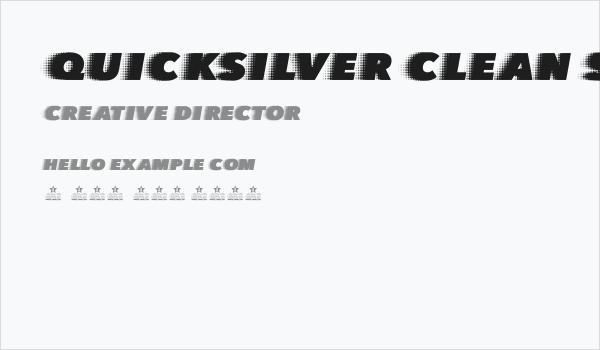 QUICKSILVER CLEAN SPACED Business Card