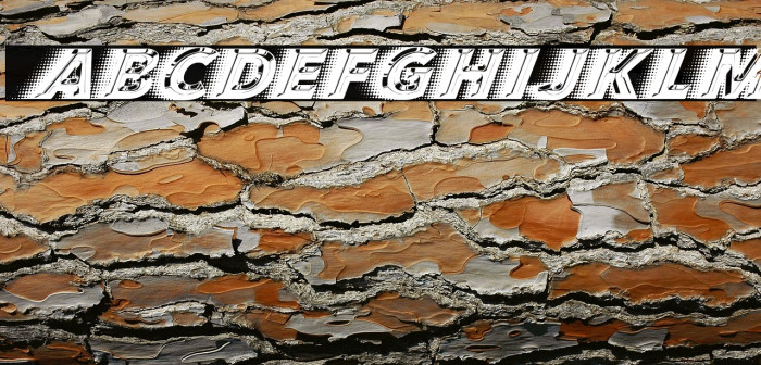 QUICKSILVER FAST Regular Example 2