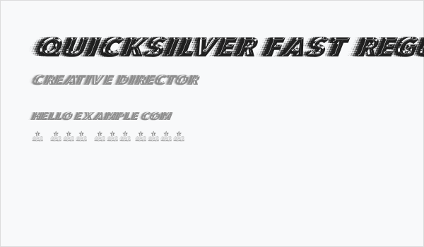 QUICKSILVER FAST Regular Business Card