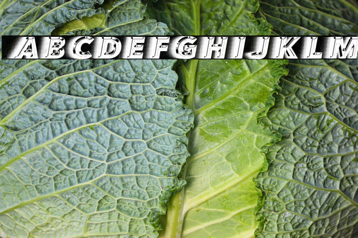 QUICKSILVER SPACED Example 2