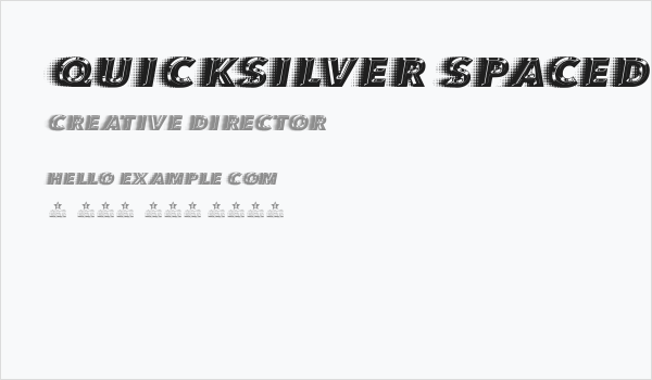QUICKSILVER SPACED Business Card