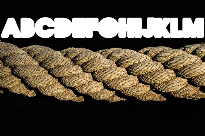 QUIRKY BACK ONE Regular Example 3