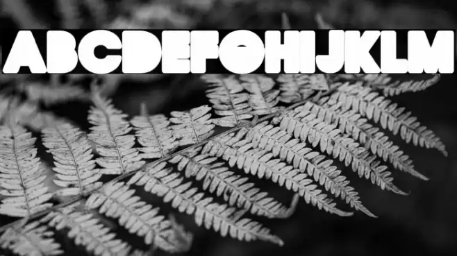 QUIRKY BACK PERSONAL USE Regular Font examples