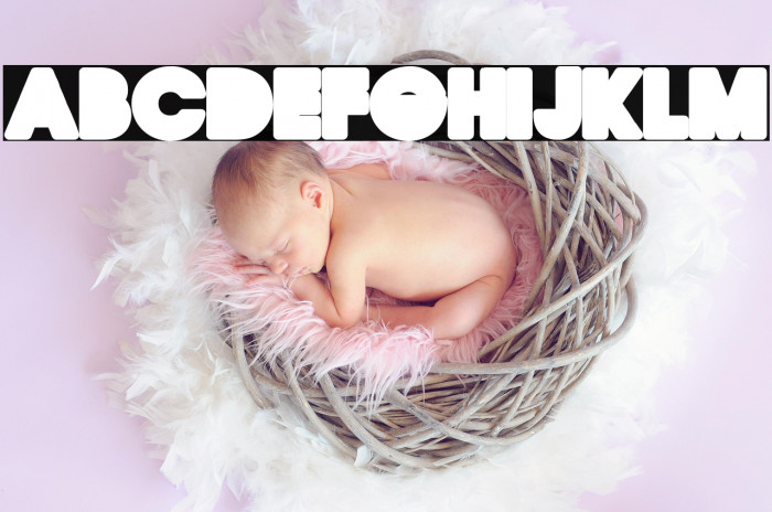 QUIRKY BACK Regular Example 1