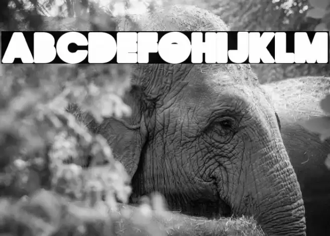 QUIRKY BACK Regular Font examples