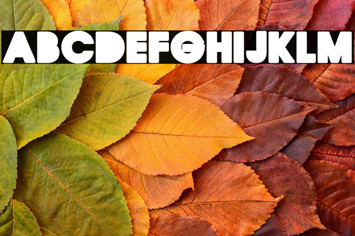 QUIRKY CLEAN Regular Example 1