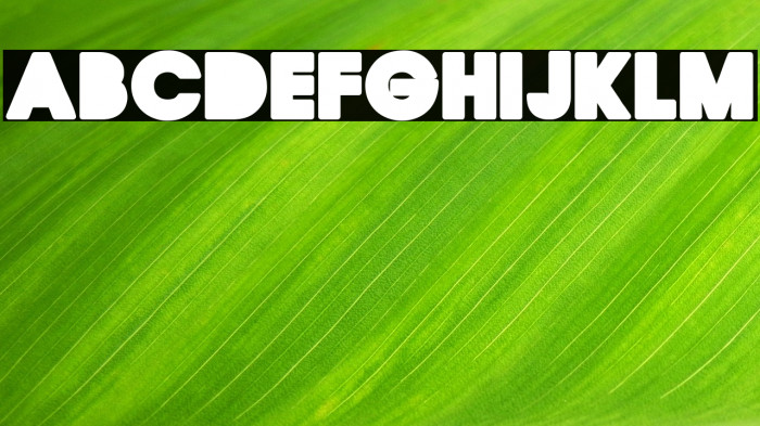 QUIRKY CLEAN Regular Example 2