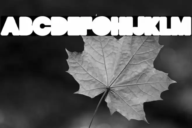 QUIRKY LOVE BACK ONE PERSONAL USE Regular Font examples