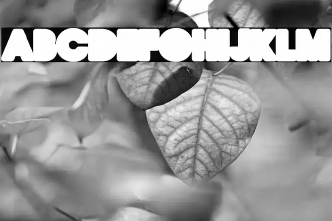 QUIRKY LOVE BACK ONE PERSONAL USE Regular Font examples