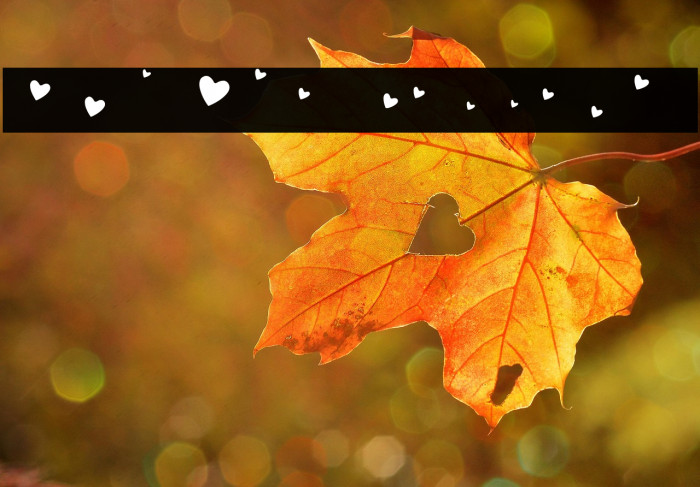 QUIRKY LOVE HEARTS Regular Example 1