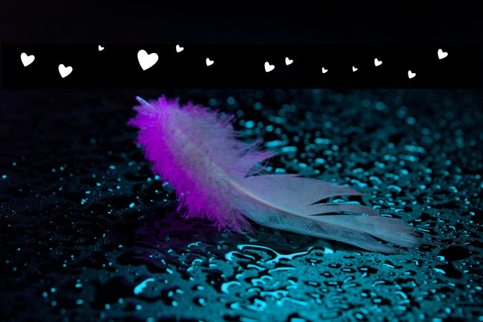 QUIRKY LOVE HEARTS Regular Example 3