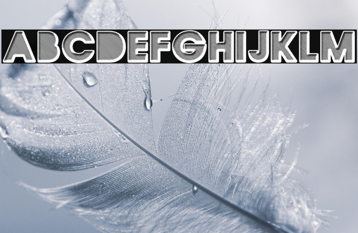 QUIRKY Regular Example 1