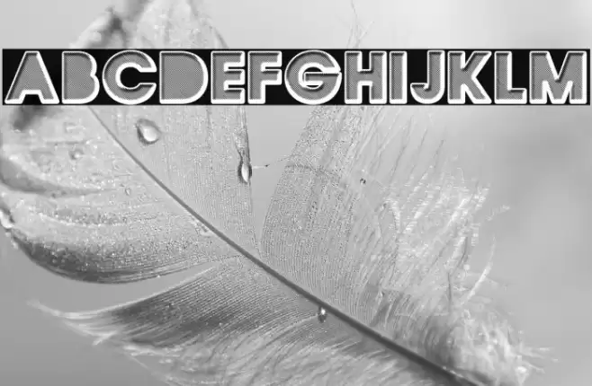 QUIRKY Regular Font examples