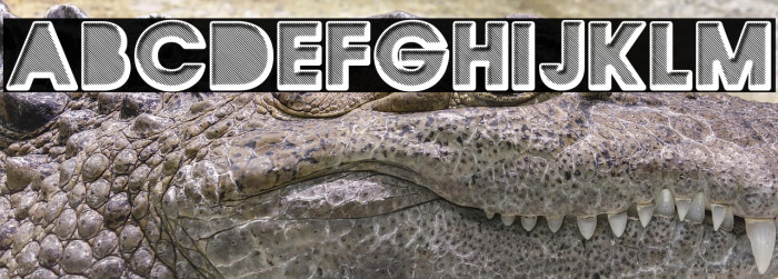 QUIRKY Regular Example 2