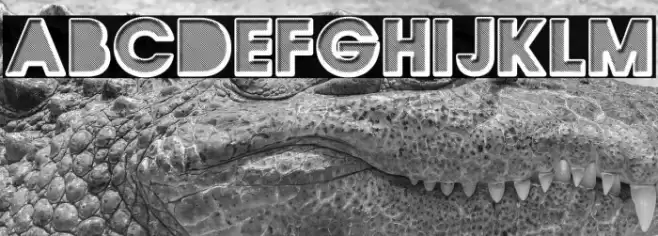 QUIRKY Regular Font examples