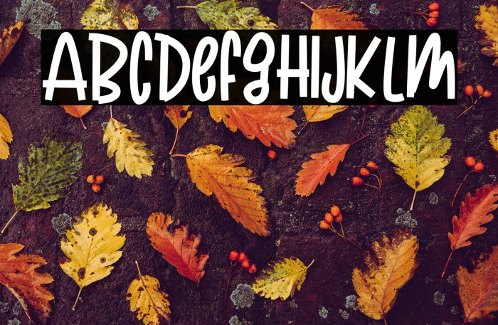 QUIRKYLAND Example 2