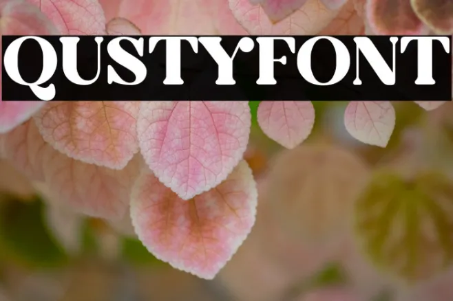 QUSTY Example 3