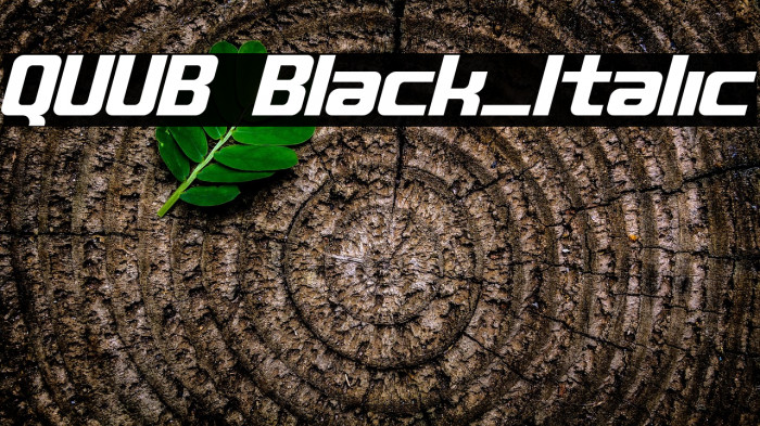 QUUB Black_Italic Example 1