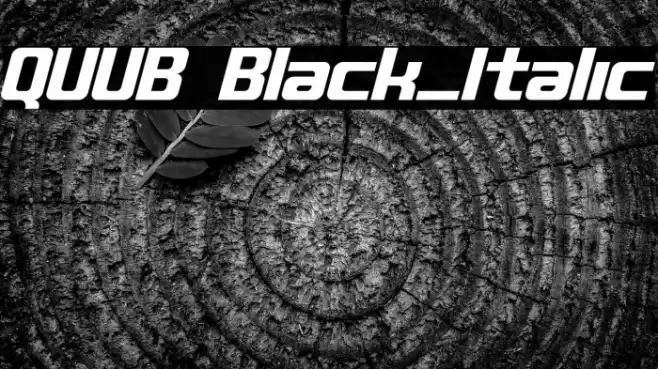 QUUB Black_Italic Font examples