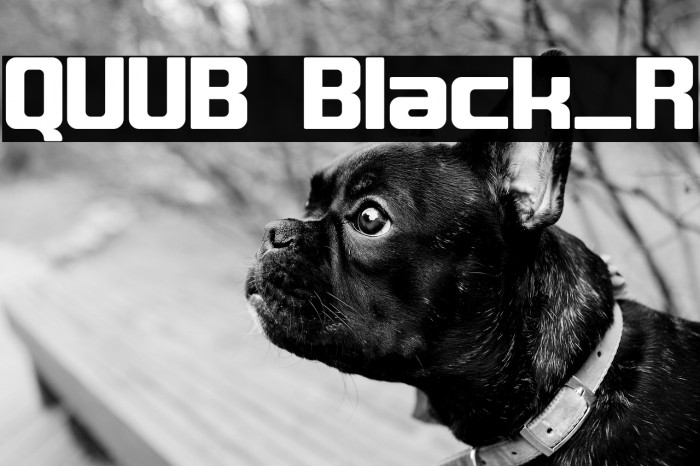 QUUB Black_R Example 2