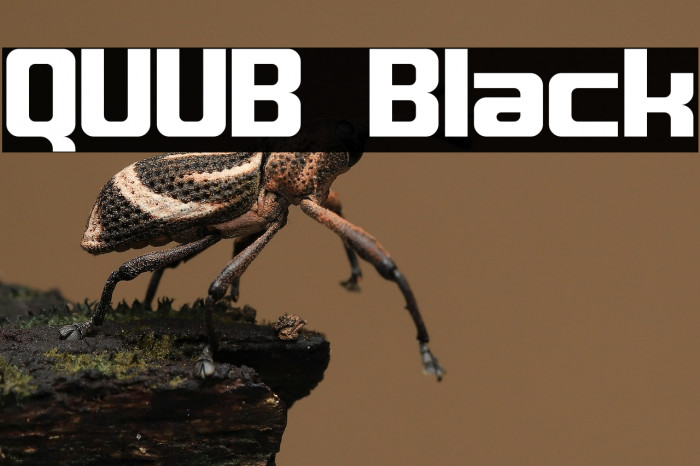 QUUB Black Example 1