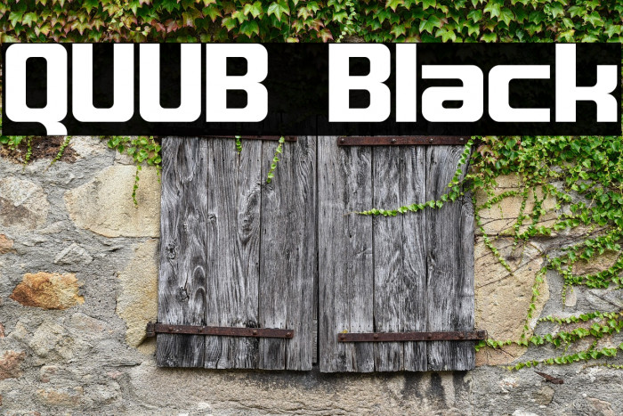 QUUB Black Example 2