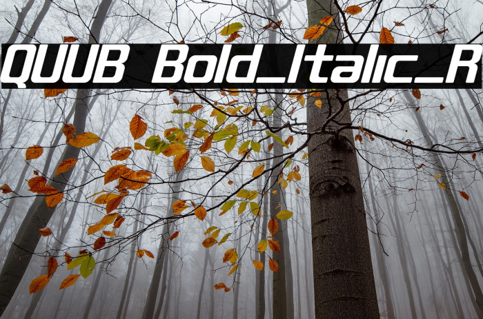QUUB Bold_Italic_R Example 1