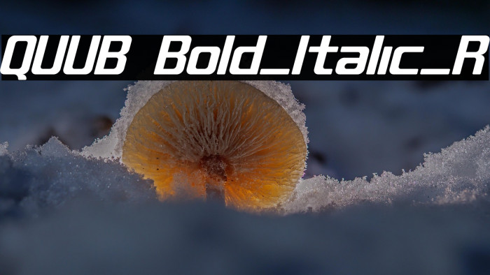 QUUB Bold_Italic_R Example 2