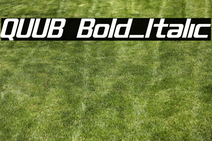 QUUB Bold_Italic Example 1