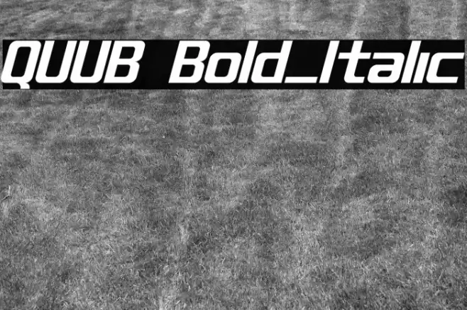 QUUB Bold_Italic Font examples