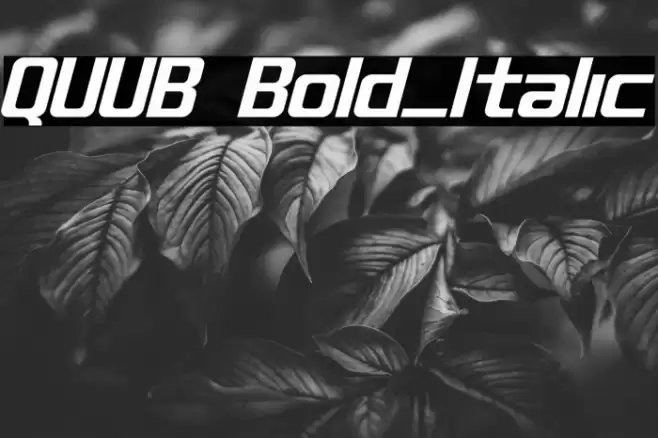 QUUB Bold_Italic Font examples