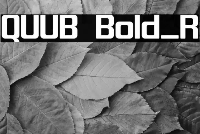 QUUB Bold_R Font examples