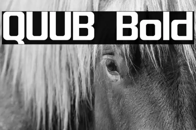 QUUB Bold Font examples