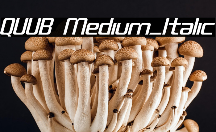QUUB Medium_Italic Example 1