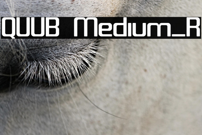 QUUB Medium_R Example 1