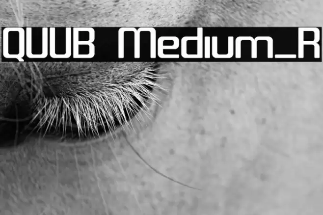 QUUB Medium_R Font examples