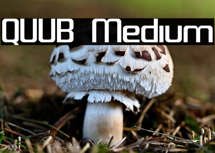 QUUB Medium Example 1