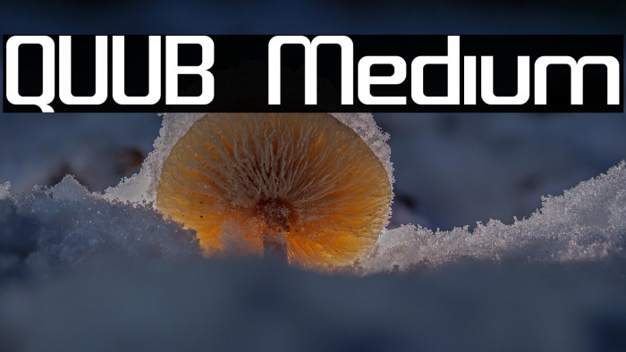 QUUB Medium Example 3